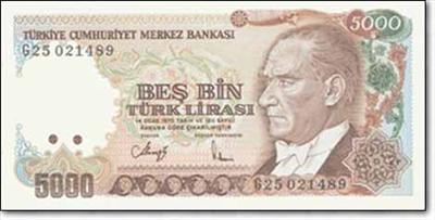 Para Sıze Nelerı Yaptırır?