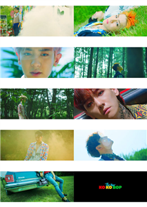 % Kaç Exo-L Sin