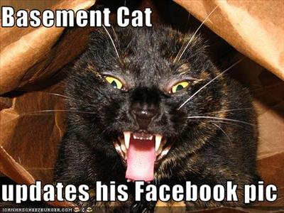 Which Lolcatz Are You?