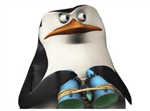 What Are You In Penguin Of Madagaskar?