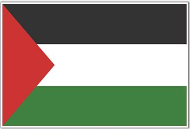 Palestine Vs Israel 