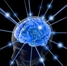Zeka Yaşınız Kaç?
