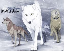 Que Personaje  De Wolf Rain Sos?