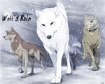 Que Personaje  De Wolf Rain Sos?