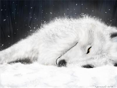How Wolflike Are You?