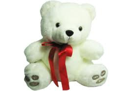 Osito de Peluche