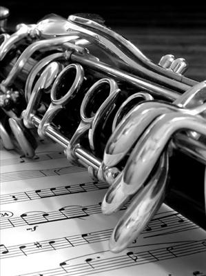 What Section In Lhs Symphonic Winds Are You?