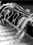 What Section In Lhs Symphonic Winds Are You?