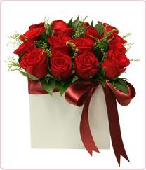 have anice day