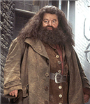 Hagrid Dobby