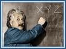 Smart Or Stupid