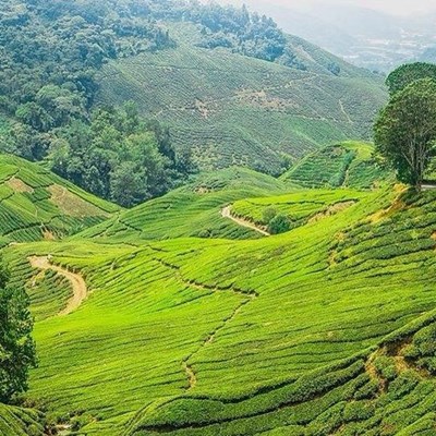Manusia terbuat dari tanah! Kalau kamu dari tanah apa? 