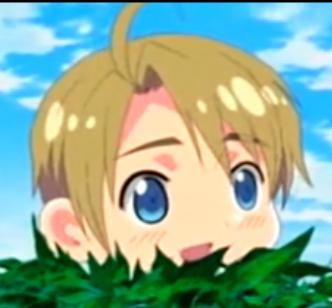 Are You Innocent?