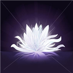 What Does Your Aura Color Mean?