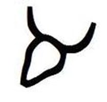 Hebrew Pictograph Quiz