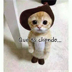 Que Tan Lindo Eres