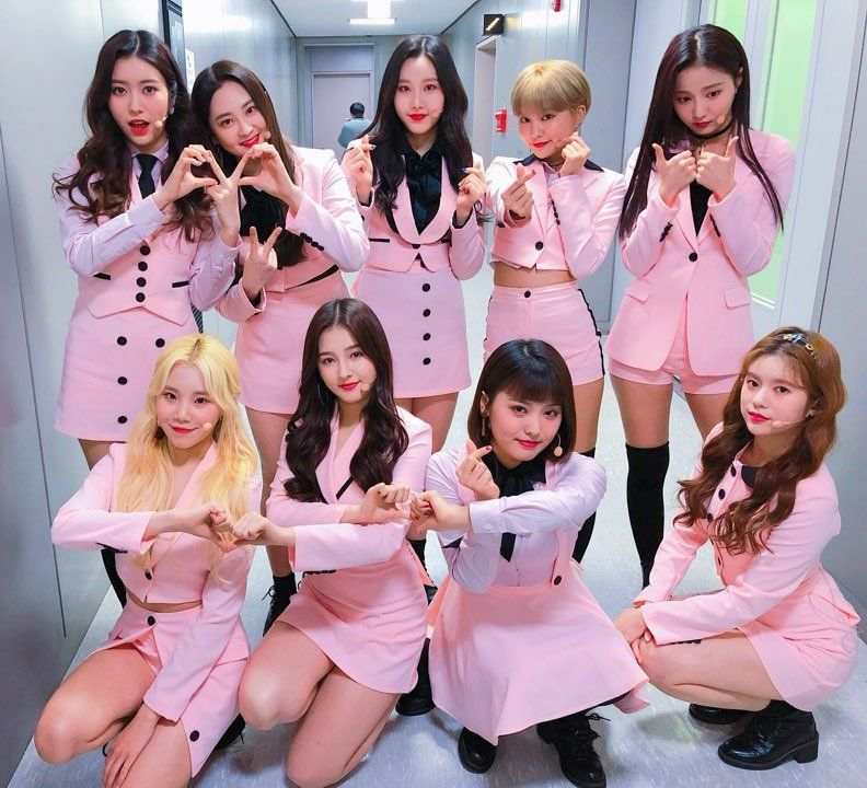 Quelle Momoland Te Correspond ?