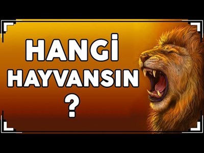Hangi hayvansın