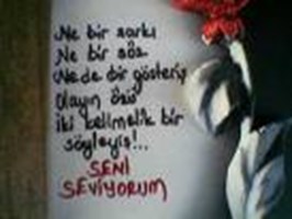 Nasıl Seversin?