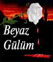 Kim Kimi Ne Kadar Seviyor