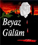 Kim Kimi Ne Kadar Seviyor