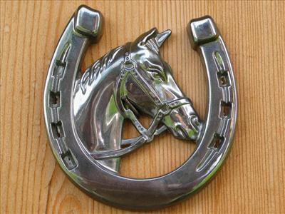 Ferro Di Cavallo O Gatto Nero?