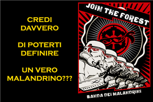 Sei Un Malandrino O Sei...