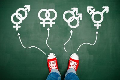 Cual Es Tu Orientación. Sexual