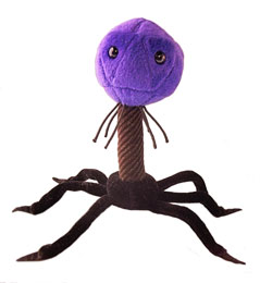 What Microbe Are You?