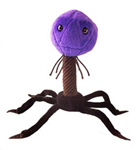 What Microbe Are You?