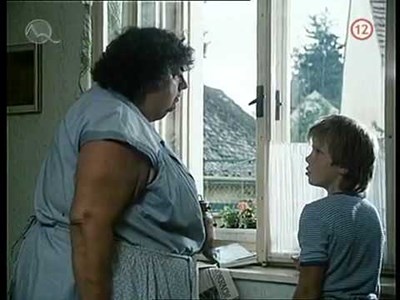 Jak Dobře Znáš Slunce Seno? 