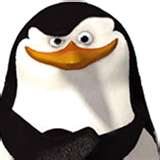 What Penguins Of Madagascar Character Are You?