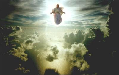 Rapture Poll