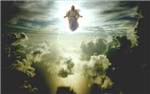 Rapture Poll