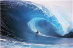 Bodyboard O Surf