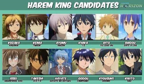 Kamu Seperti Harem King?
