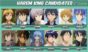 Kamu Seperti Harem King?