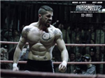 Si Bojovník?
