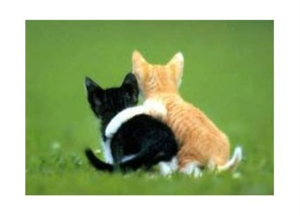 İyi  Bir Dost Musun ?