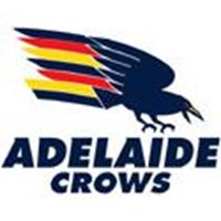 Afl 2010 Premiers
