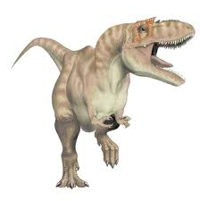 Allosaurus 2