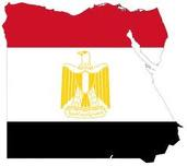 استفتاء ممثلى مجلس الشعب للزاويه والشرابيه-عمال