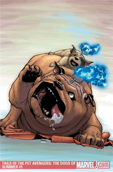 The Pet
