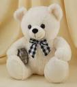 Tedy bear