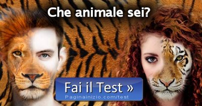 Quiz Che Tipo Di Animale Sei
