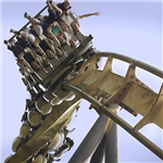 What Coaster Are You