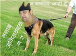 पापी वा धर्मोत्मा 