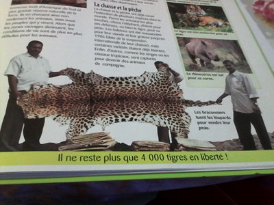 Pouvez Vous Tuer Un Animal ???