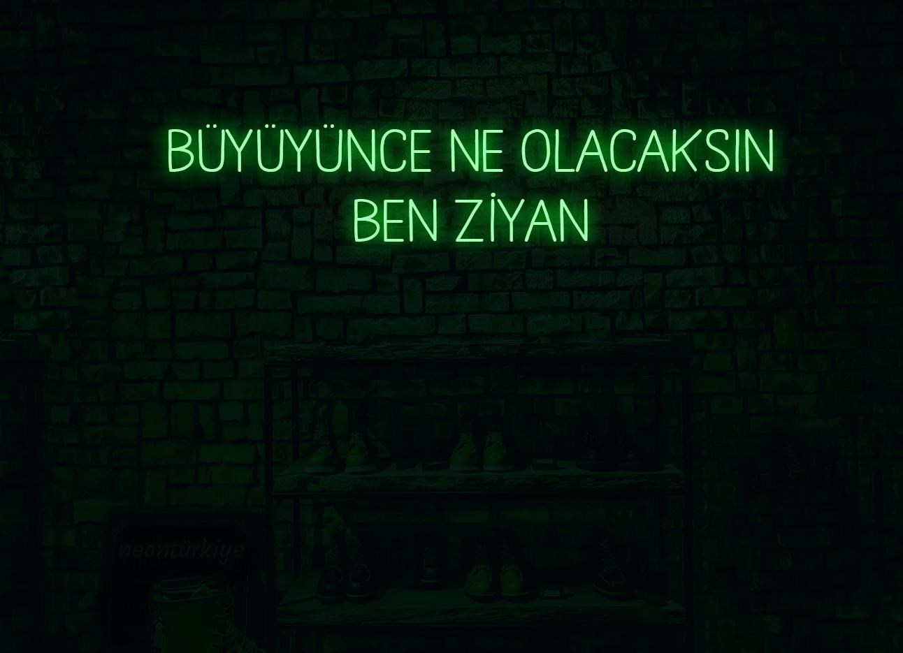 Büyüyünce Ne Olacaksın?