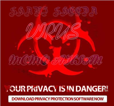 Pro Dsl